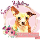 @furever_reflections
