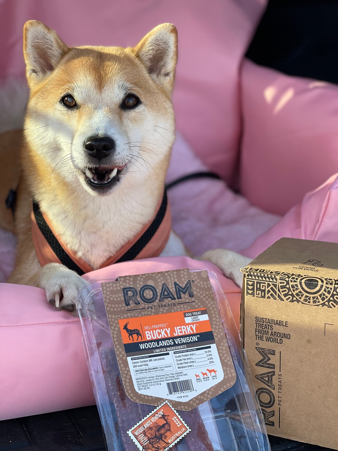 ROAM x @aiko.the.explorer