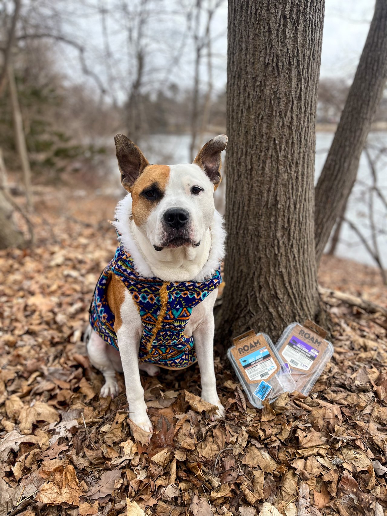 ROAM x @coffeedreamsandmilkbonewishes