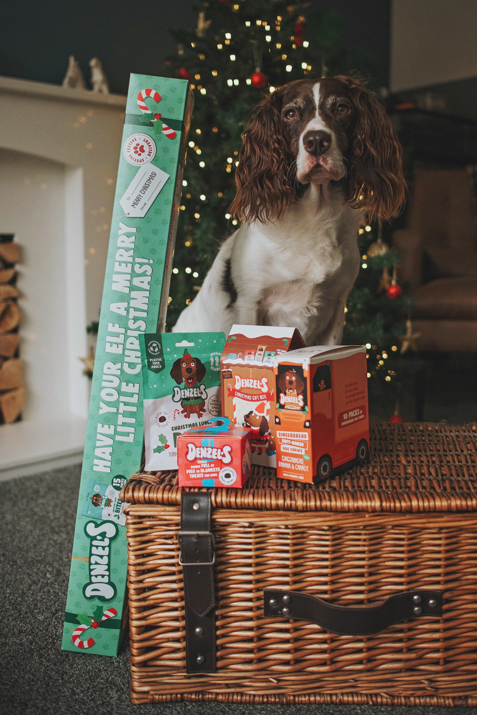 Denzel's Christmas Gifts