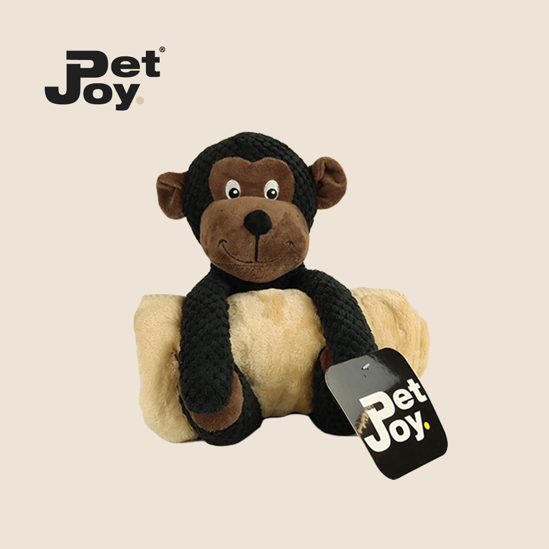 DoggyToy Buddies