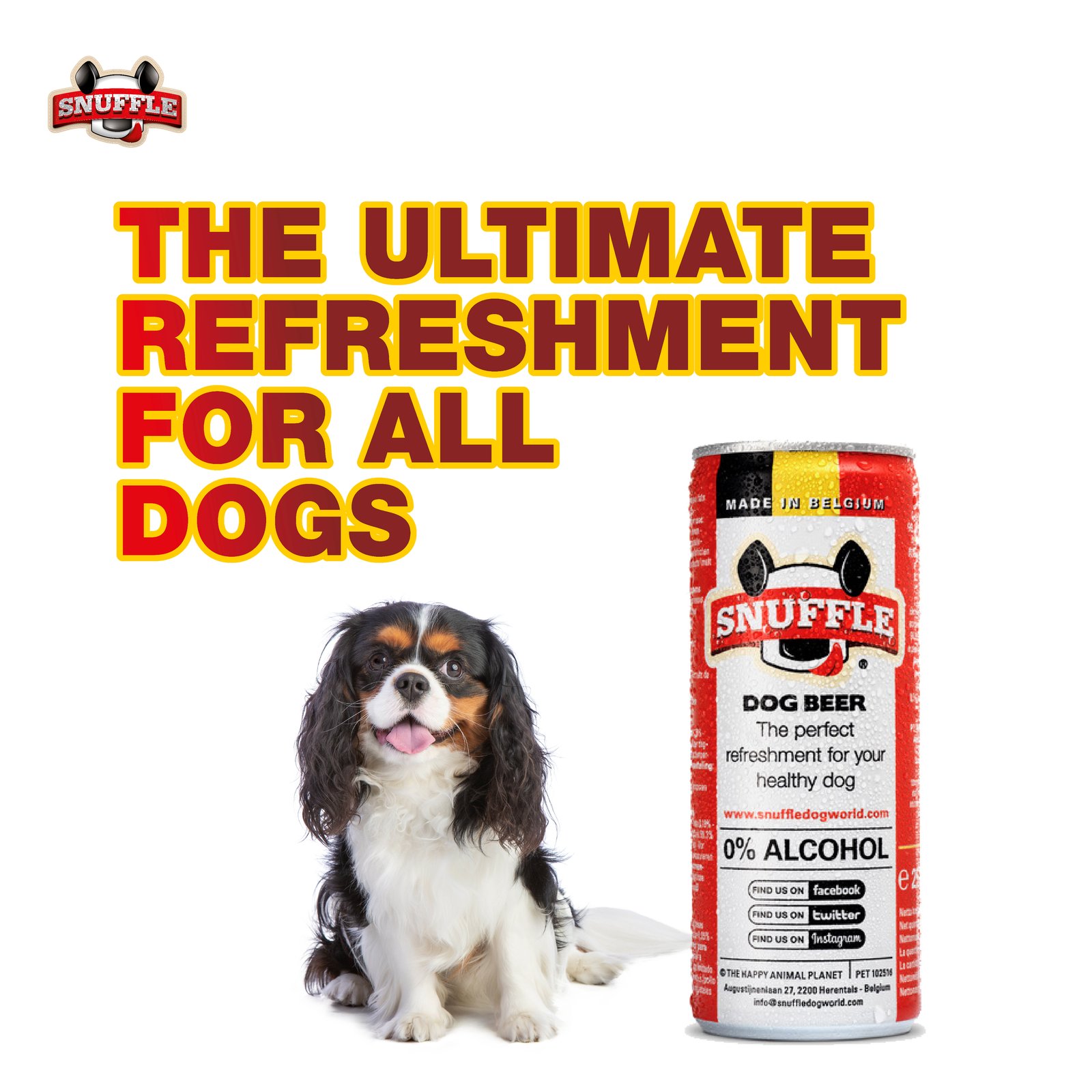 Mixed Dog Beer Can 25cl