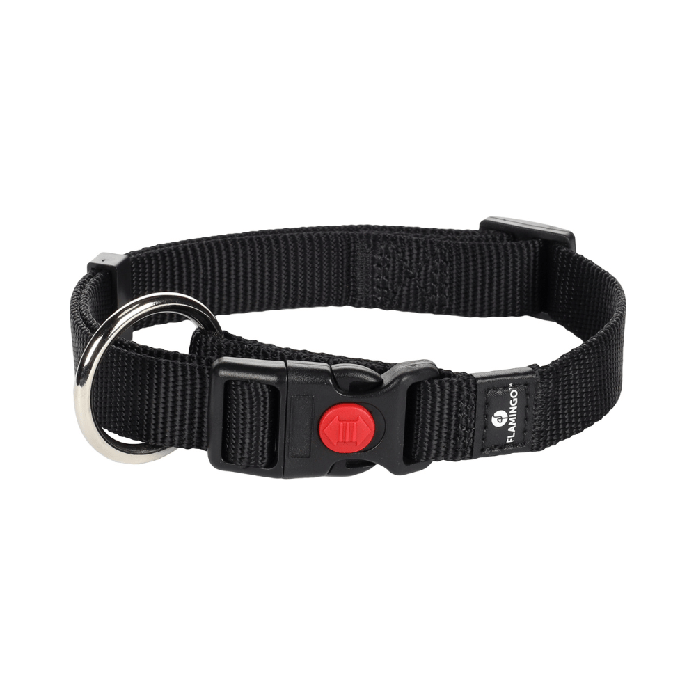Collar Ziggi Black