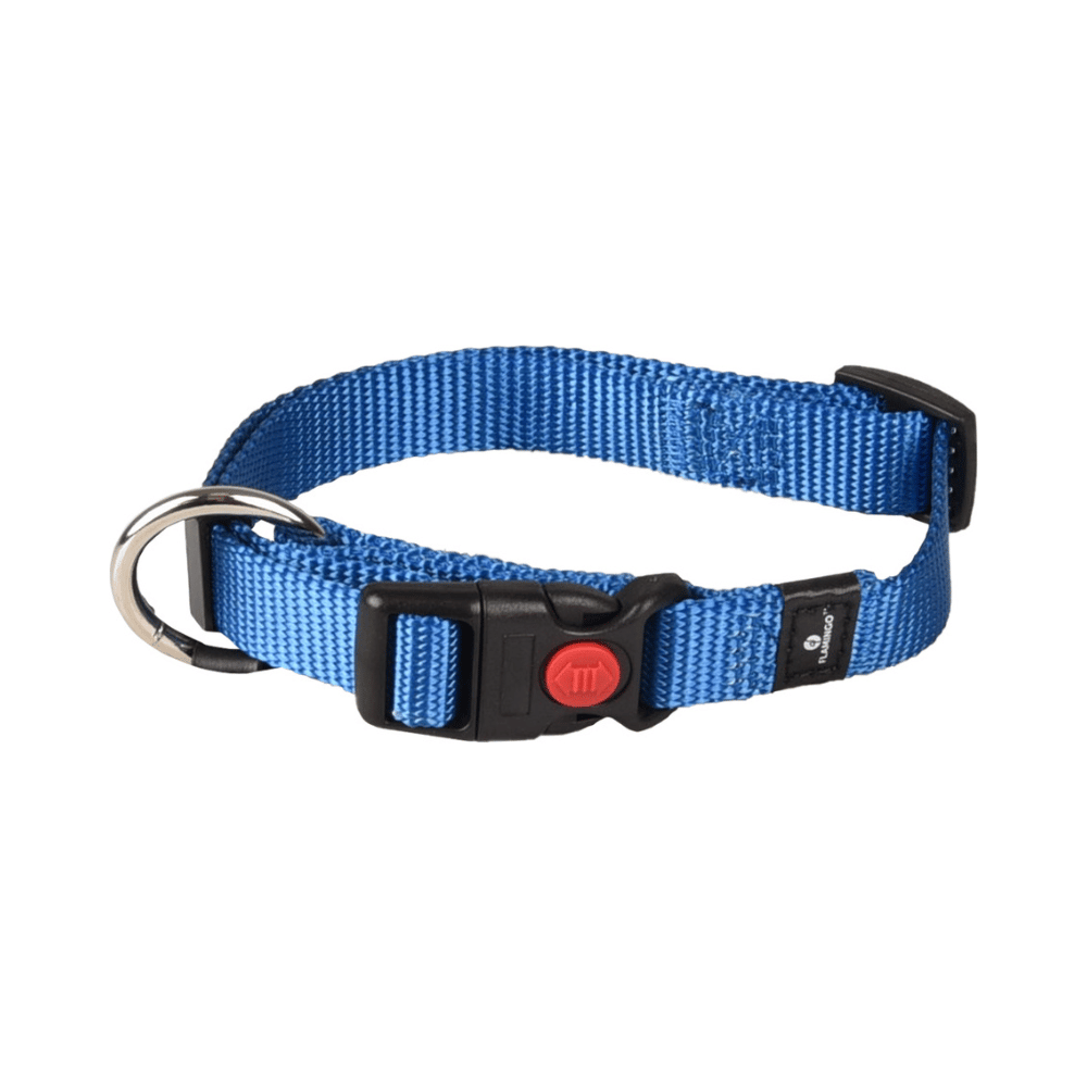 Collar Ziggi Blue