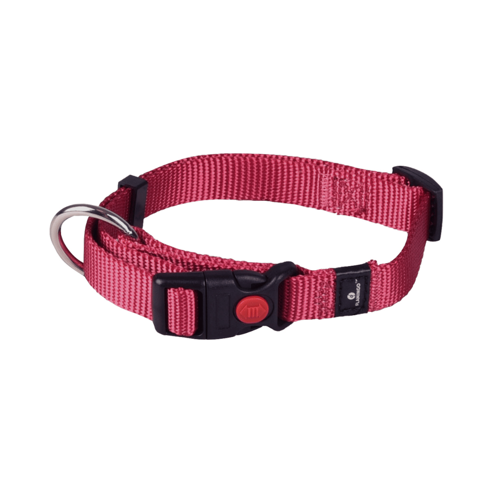 Collar Ziggi Cherry Red