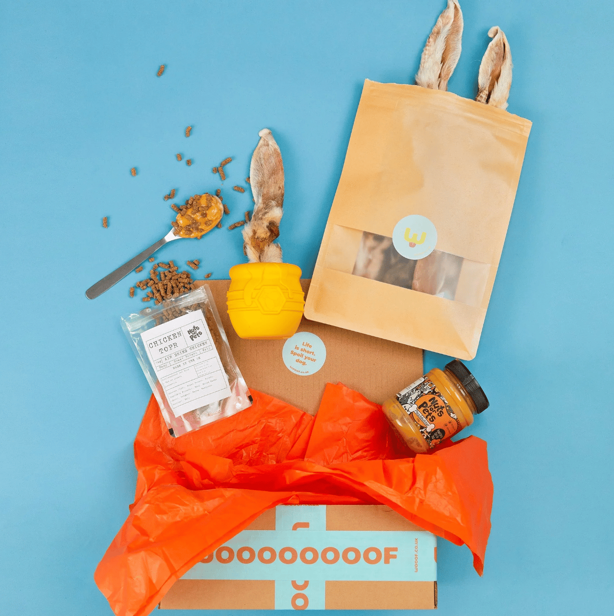 The "Un-Bee-Lievable" Enrichment Gift Bundle for Dogs