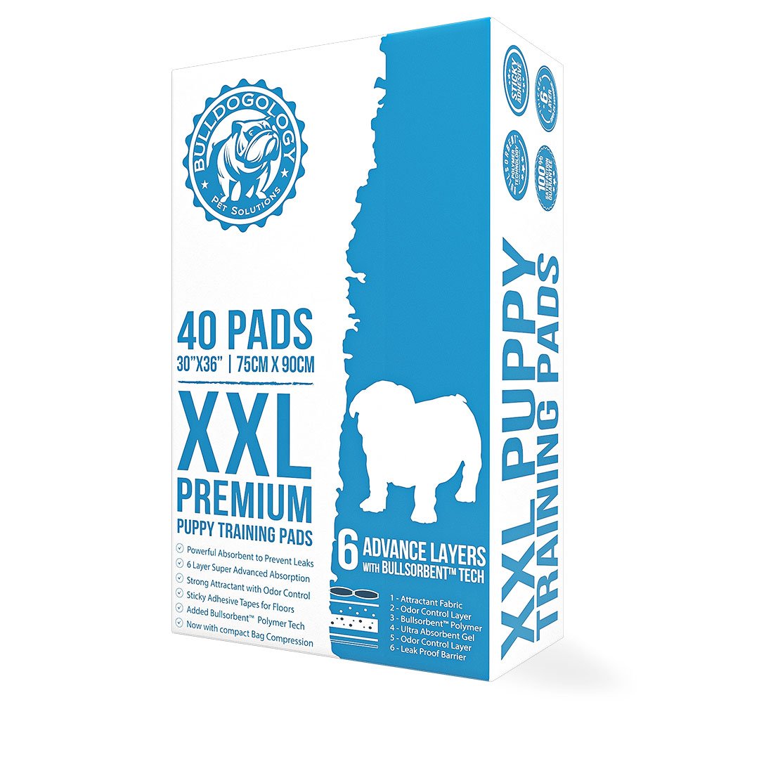 Premium Puppy Training Pads (XXLarge, 30x36)