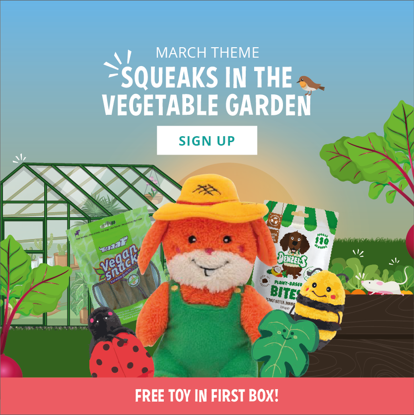 Snuffelbox March theme '22
