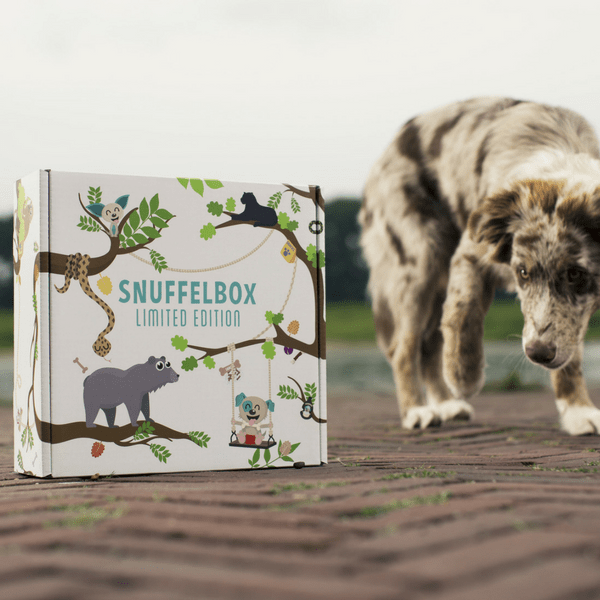 Dierendagbox (World Animal Day Box)