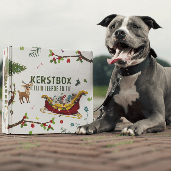 Kerstbox (Merry Christmas Box)