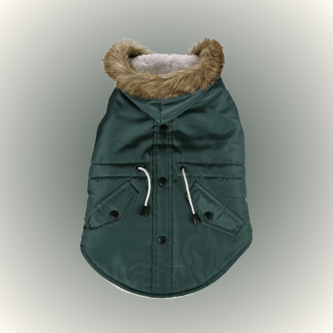 Winter coat Kimo Green