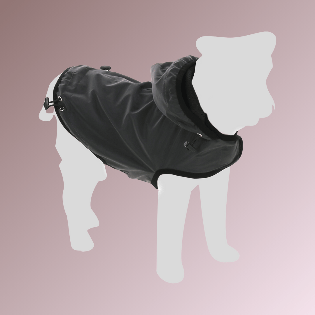 Coat Luza Grey
