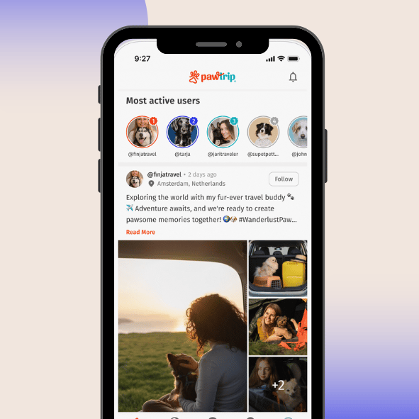 Pet-Friendly Social App