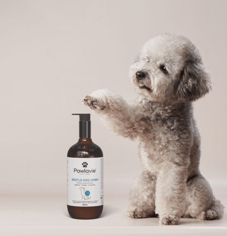 GENTLE DOG WASH For dogs of all coat types