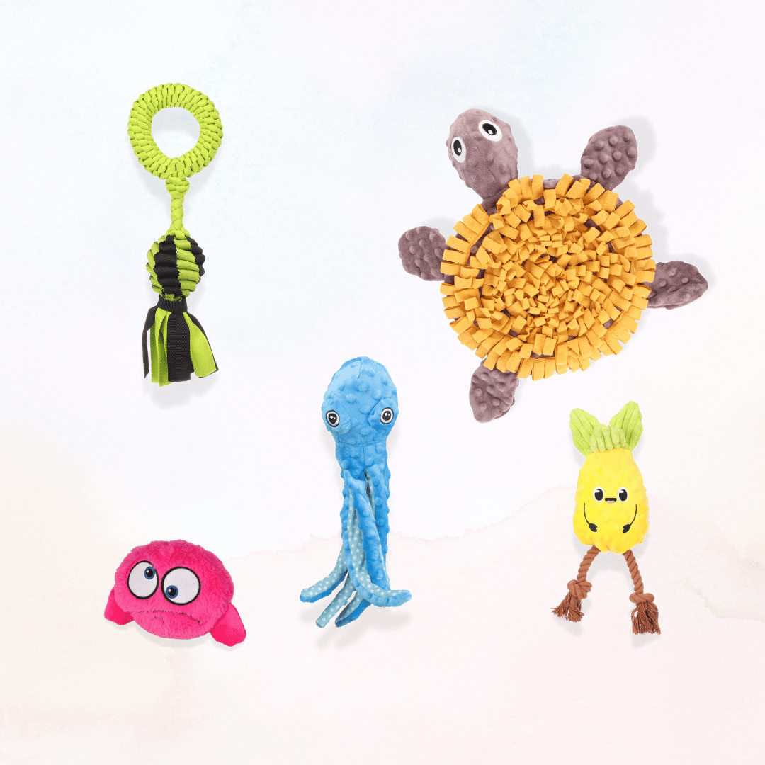 Toy Package
