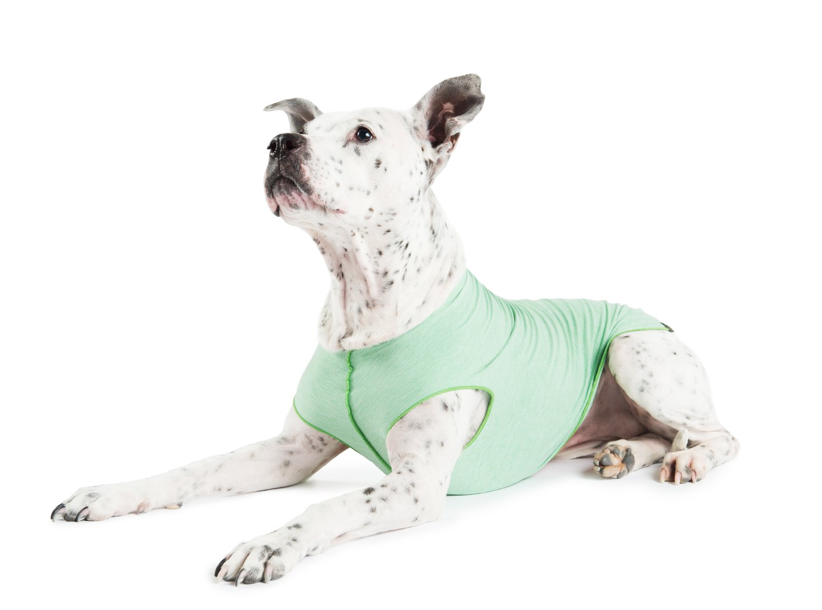 Sun Shield Tee - Pistachio