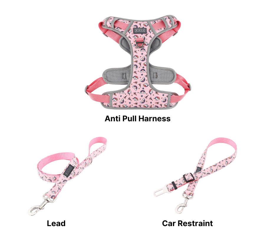 Winxie Harness Set