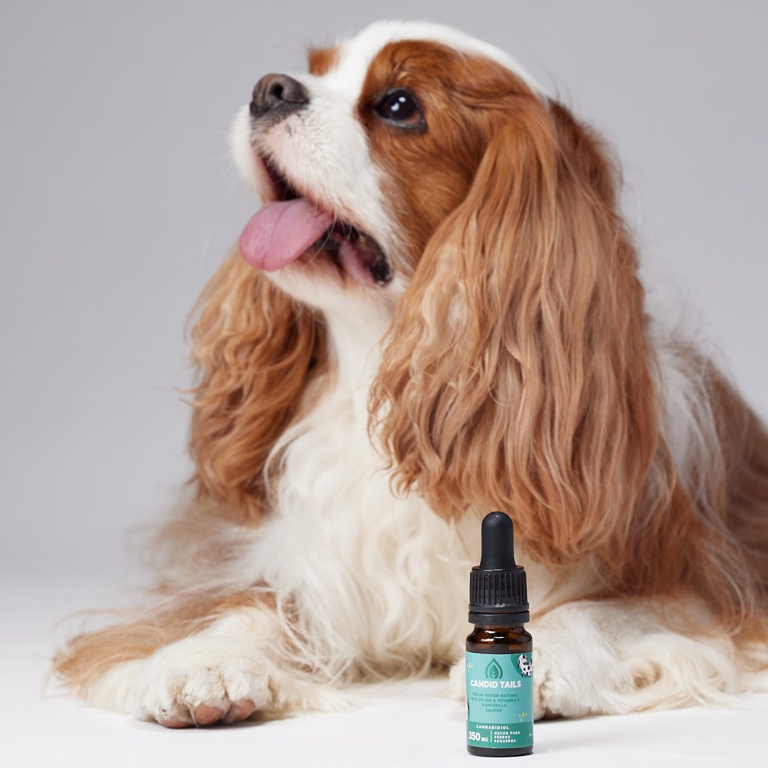 Hemp Oil With 350mg Naturally Occuring CBD For Small Dogs