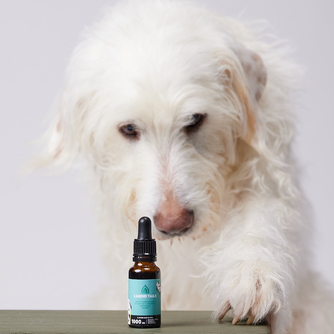 Hemp Oil With 1000mg Naturally Occurring CBD For Large Dogs
