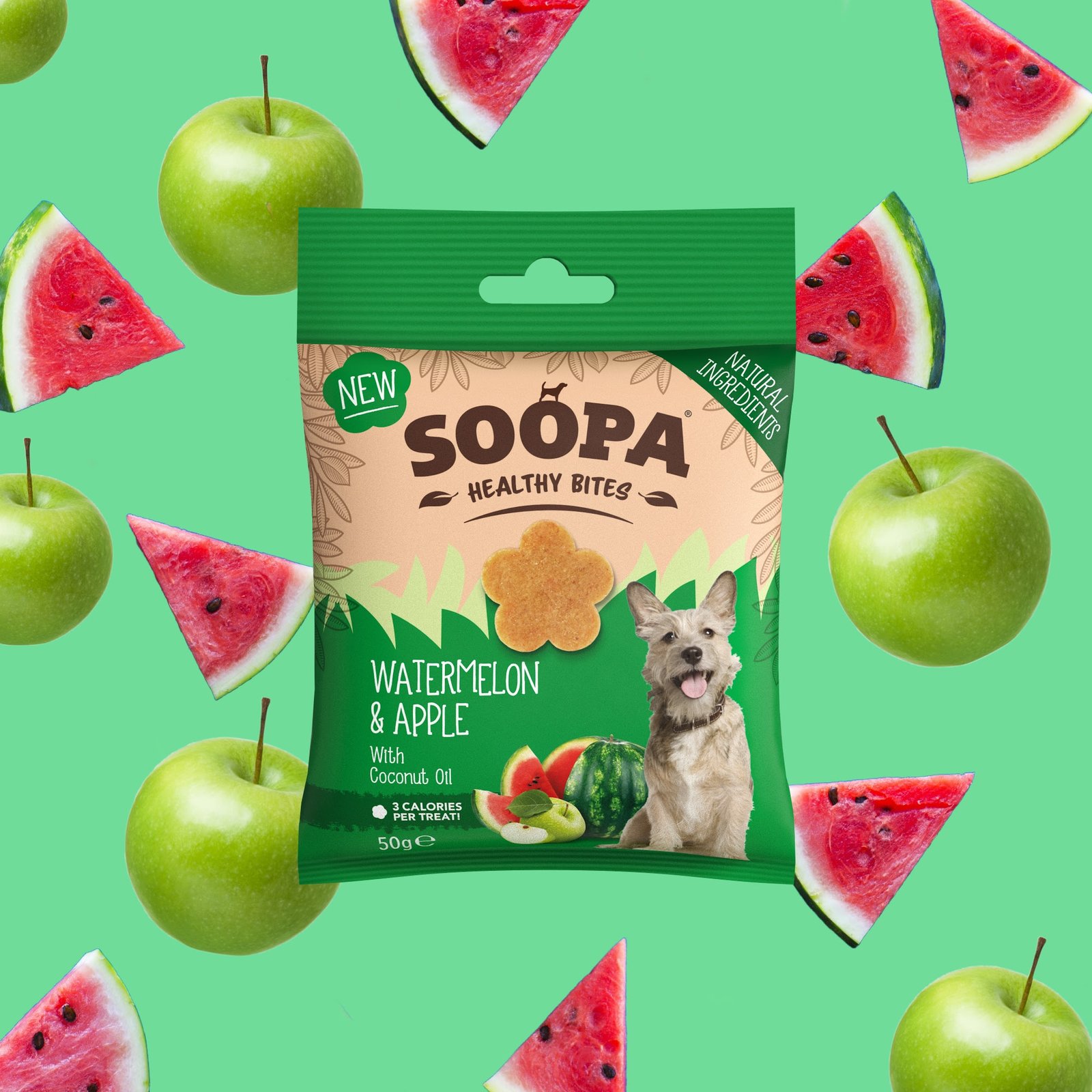 Watermelon & Apple Healthy Bites