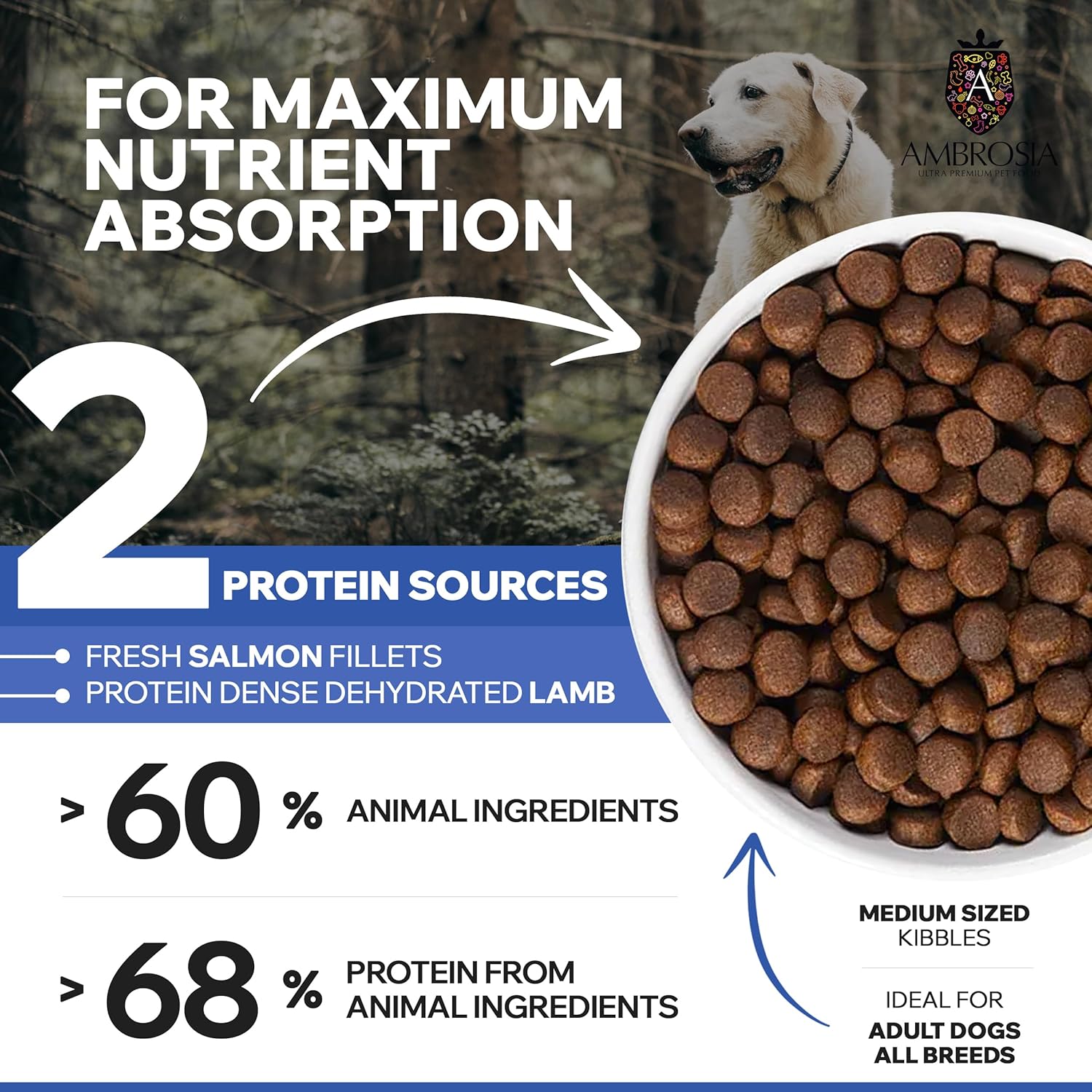 Lamb & Fresh Salmon 2kg - Adult - All breeds