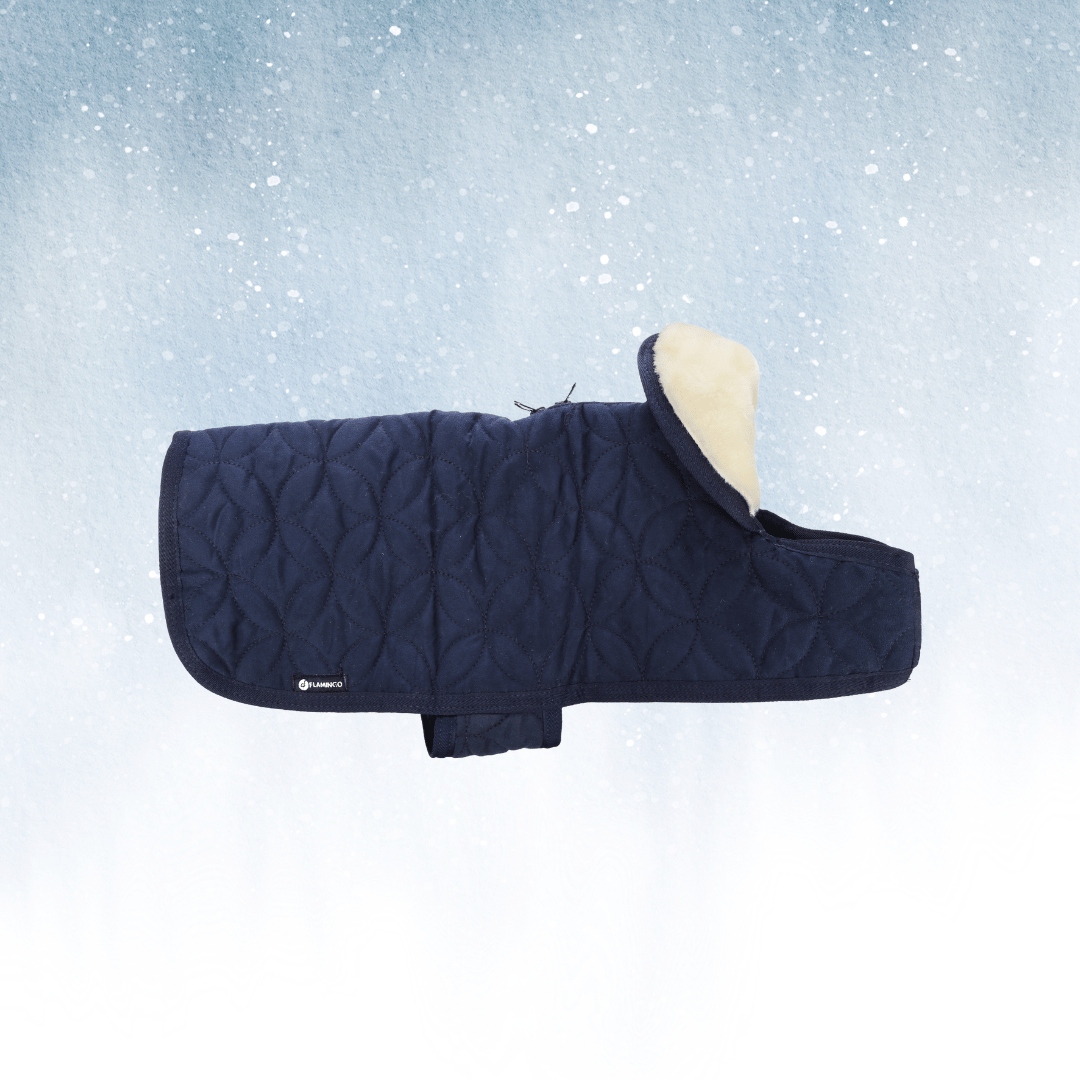 Coat Koda Dark Blue