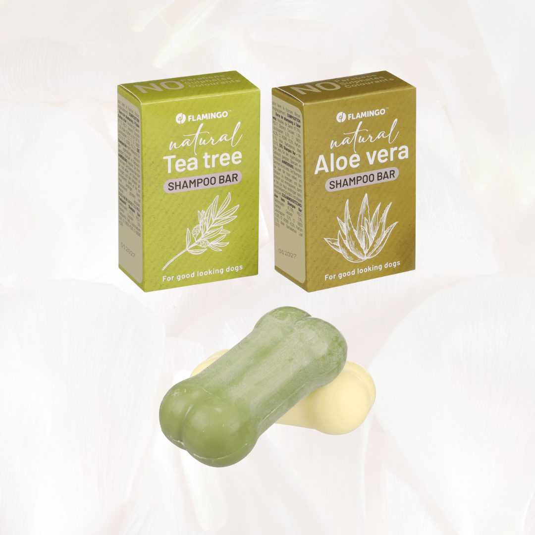 Shampoo Bar Natural