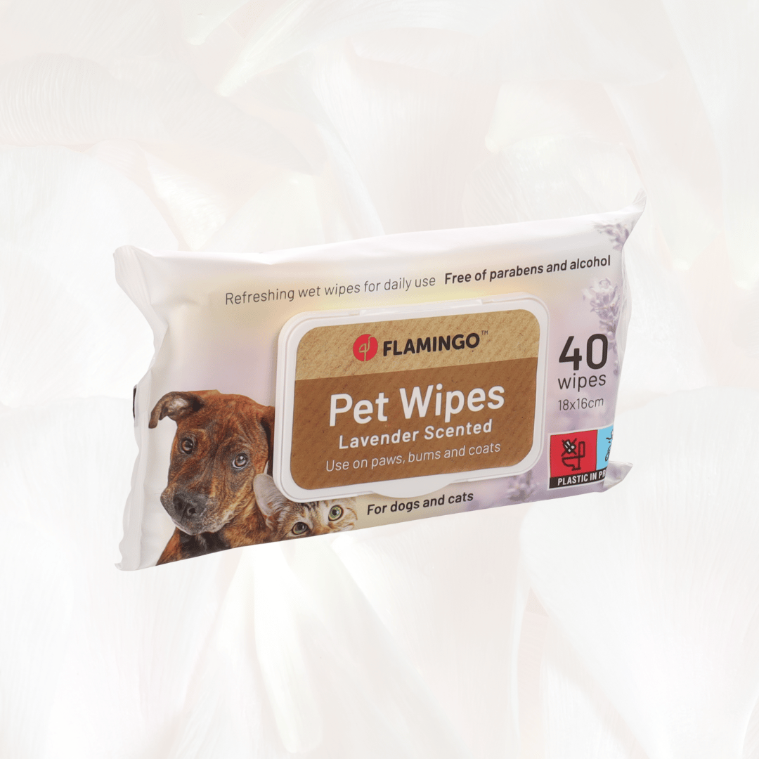 Care Wipe Reini