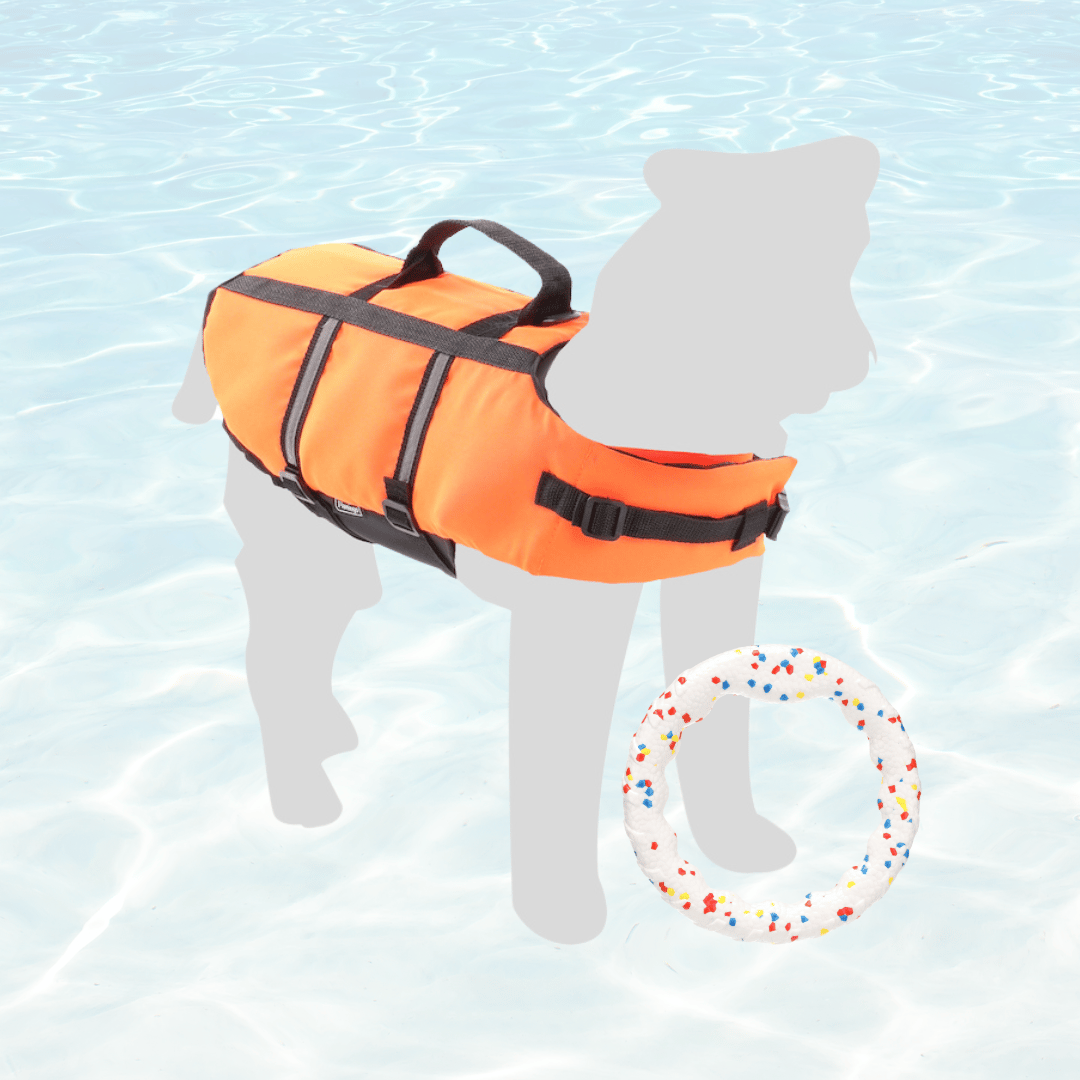 Swimming fun