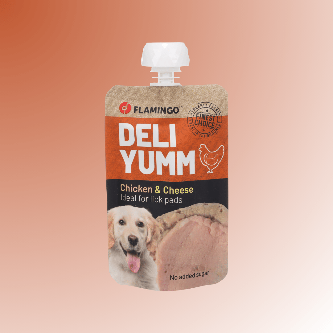 Snacks Deli Yumm Paste with Chicken & Cheese