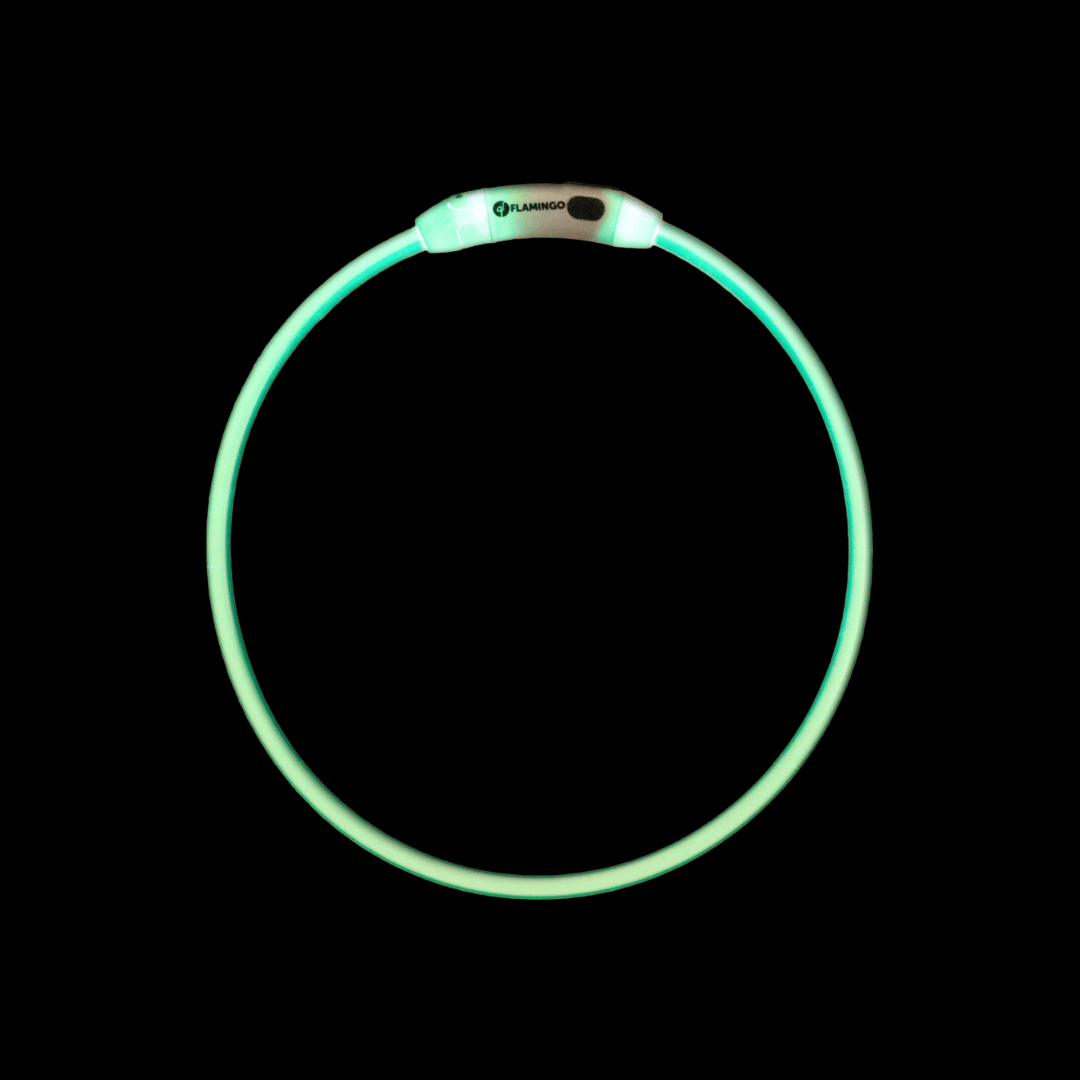 Collar Raina Visio Mix