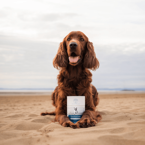 GoActive - Chicken - 90 Chews