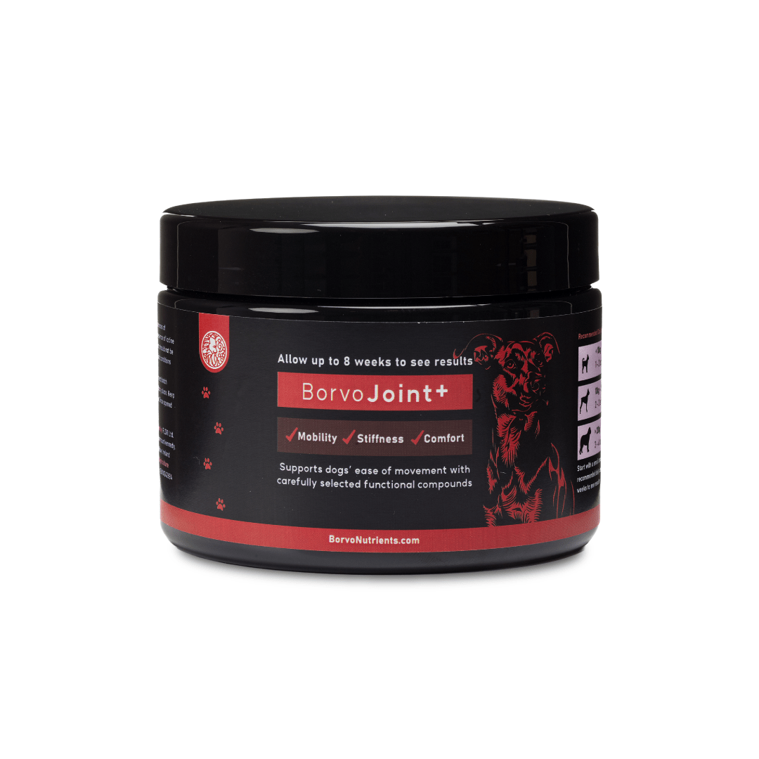 Joint + | Superior Joint Health Support for Dogs