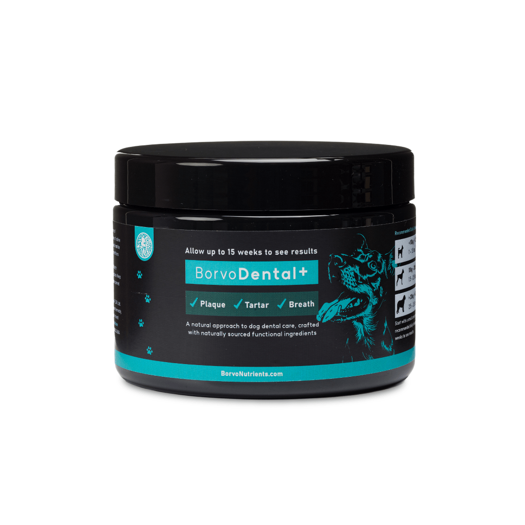 Borvo Nutrients Dental+ Seaweed and Microalgae Powder for Dogs Teeth