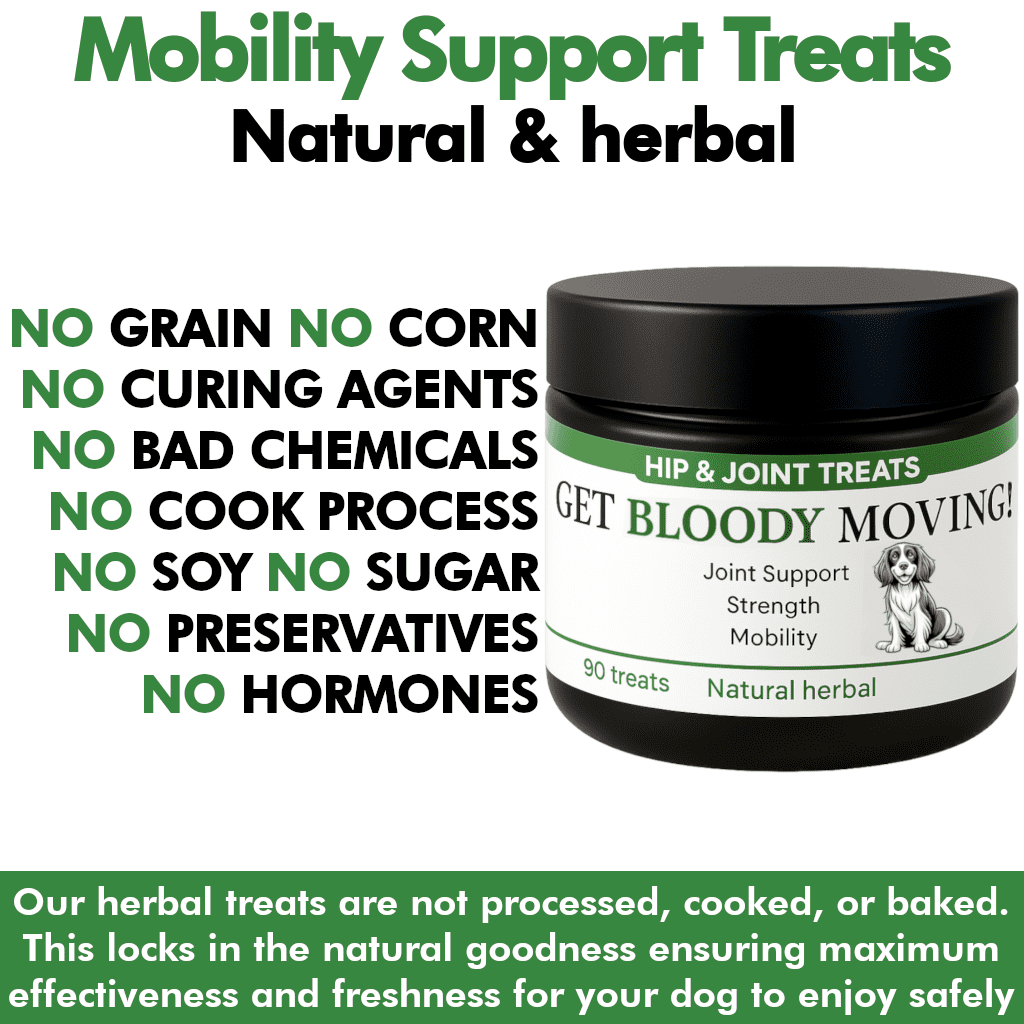 Get Bloody Moving