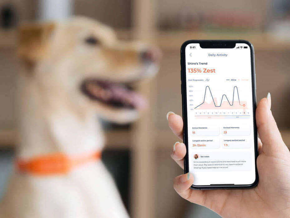 Maven Annual Membership (12 months)