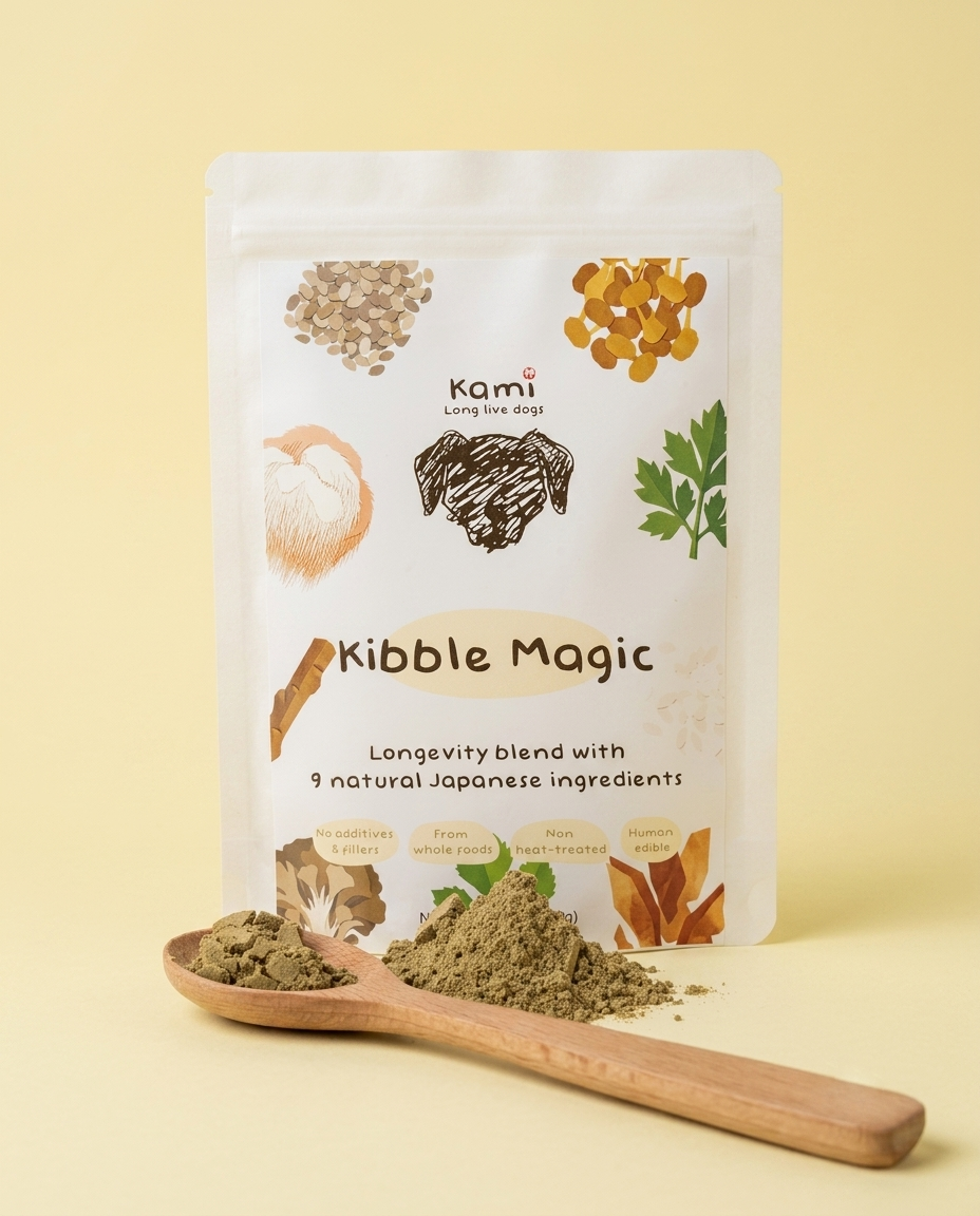 Kibble Magic