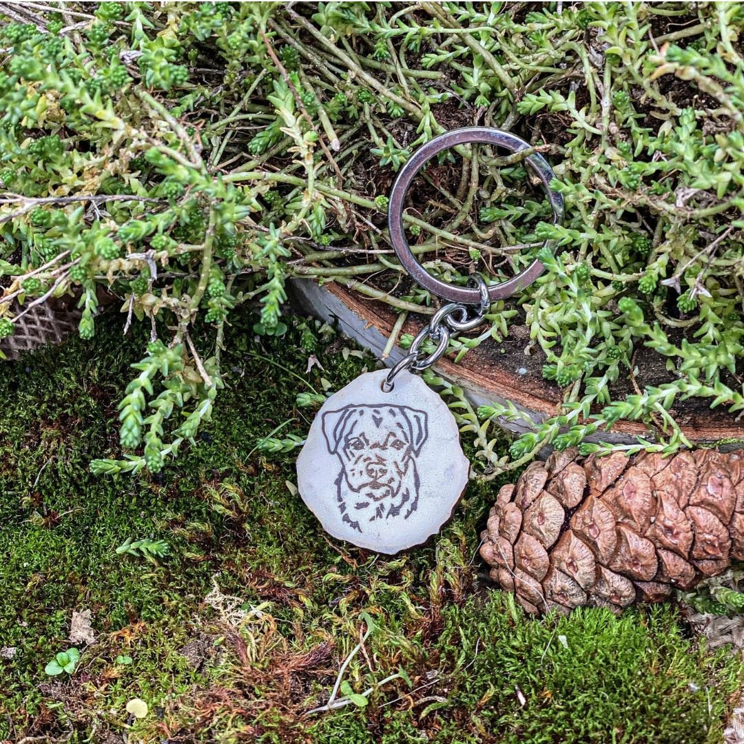 Border terrier antler key fob