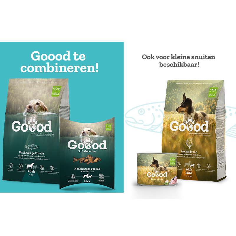 Wet food | Sustainable trout