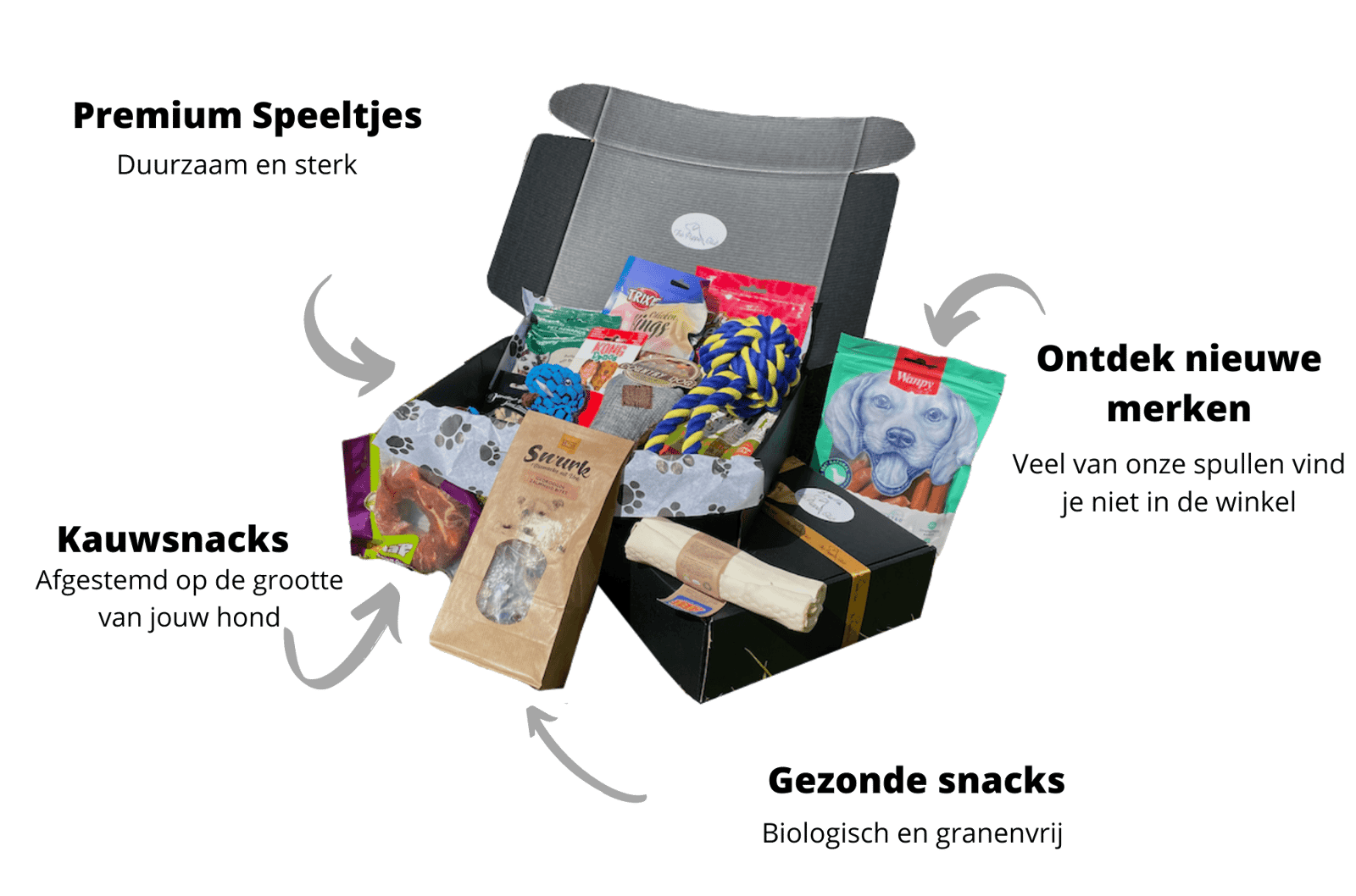 The Puppy Club Monthly Box