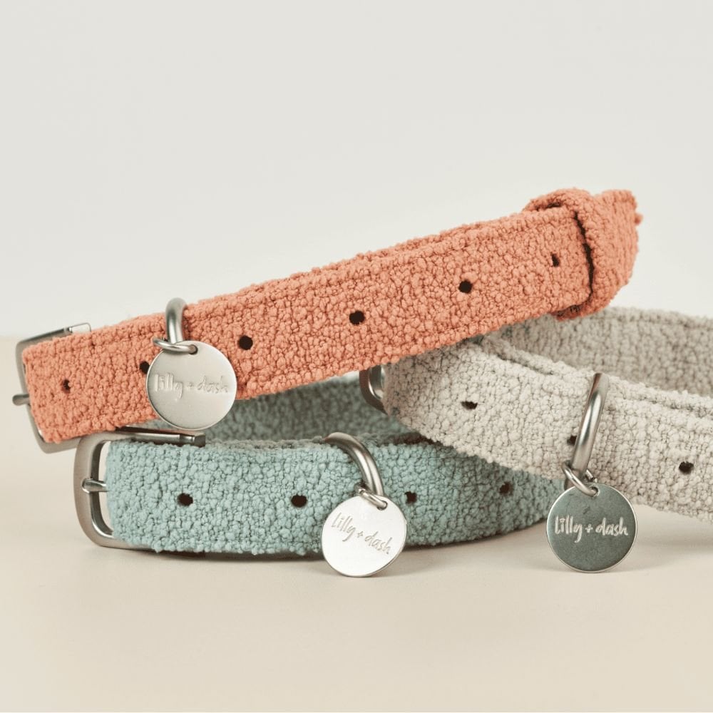 Lilly + Dash Boucle Dog Collar