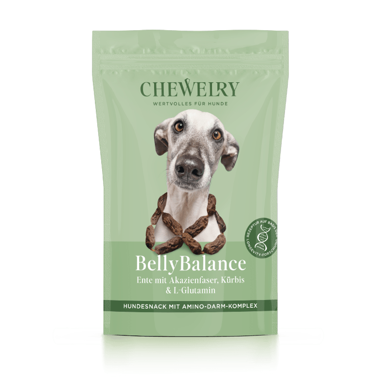 BellyBalance - Dog Snack Supplement with Duck, Acacia Fiber & Pumpkin