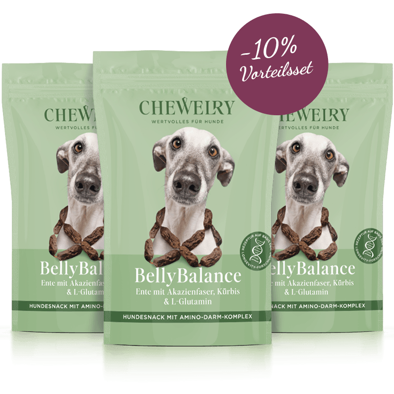 BellyBalance | 3-Pack Value Set