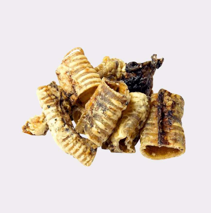 Cut Trachea 6pcs