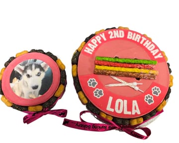 Bespoke Pawty Cakes