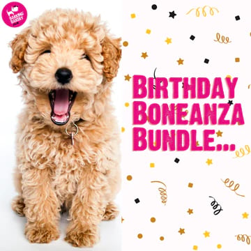 Birthday Boneanza Bundle