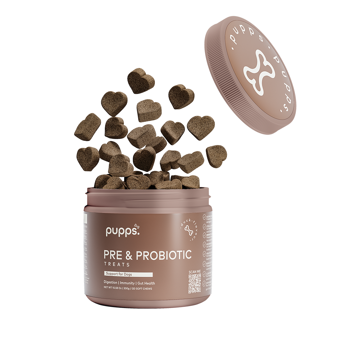 Pre & Probiotic Treats