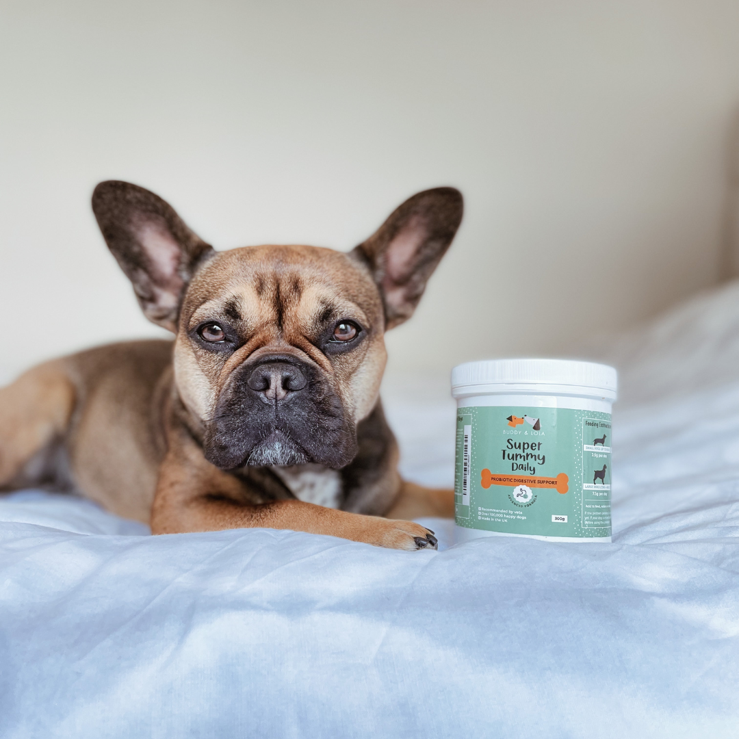 Super Tummy Daily - Probiotics for dogs