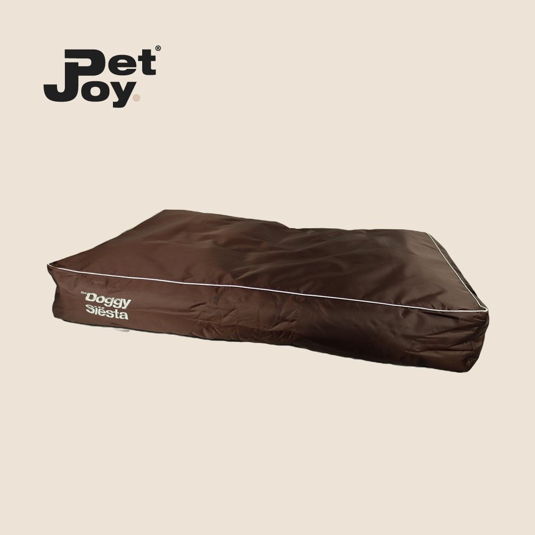 Doggy Siesta X-Treme