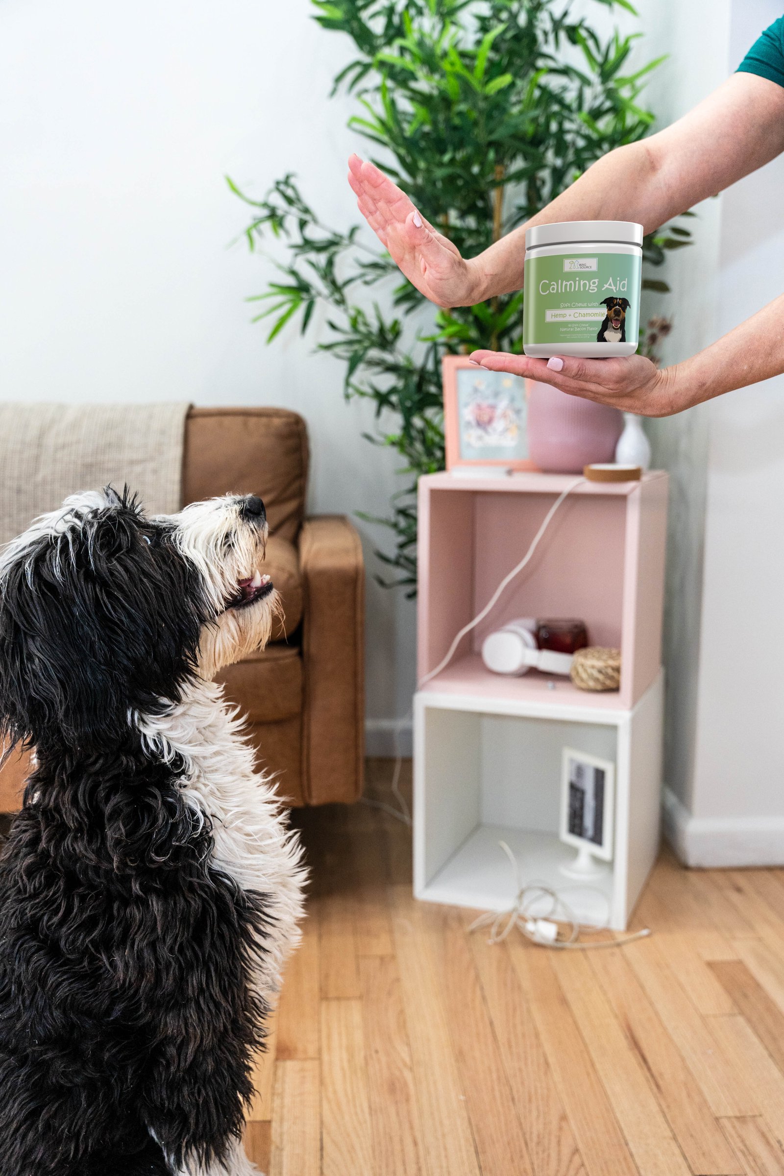 Calming + Anxiety Relief Soft Chews for Dog